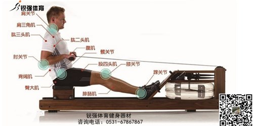 划船机和开云在线开户/注册/备用/官网
哪个锻炼更有效